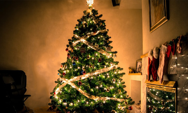 45+ Fake Christmas Tree Lights Not Working 2021